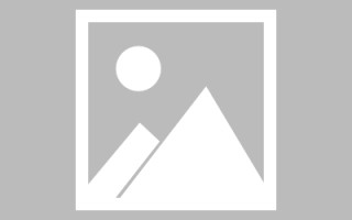 沛县最佳网站建设（网站建设哪个平台最好）